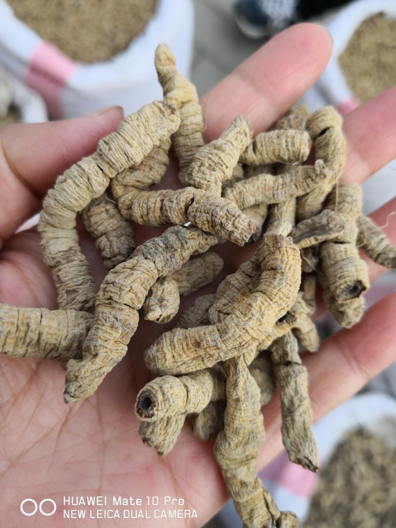 巴戟天巴戟肉抽芯选货干货2斤起包邮