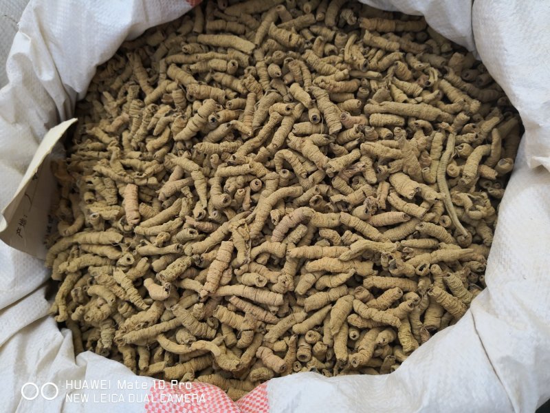 巴戟天巴戟肉抽芯选货干货2斤起包邮