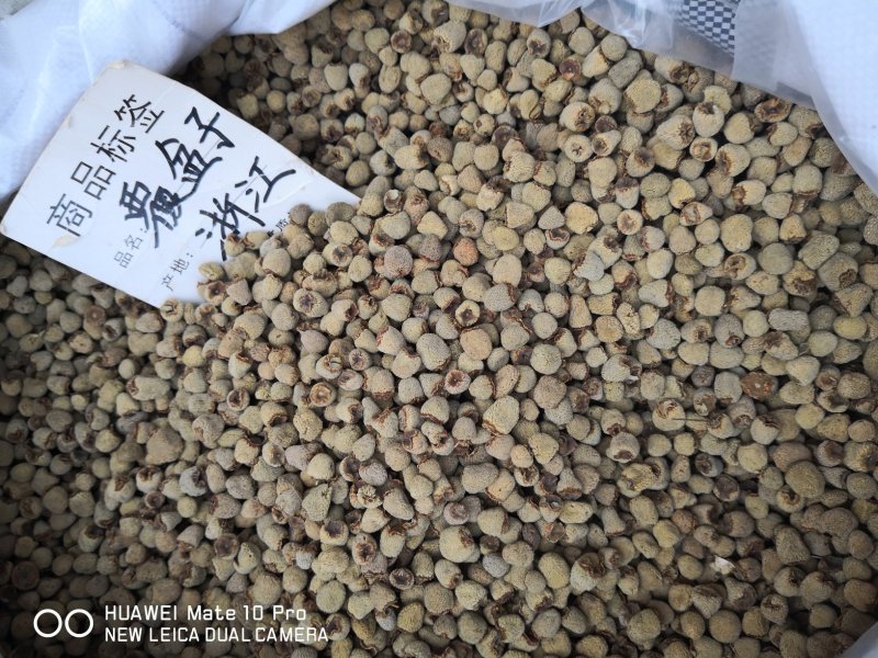 覆盆子选货大粒浙江干货2斤起包邮