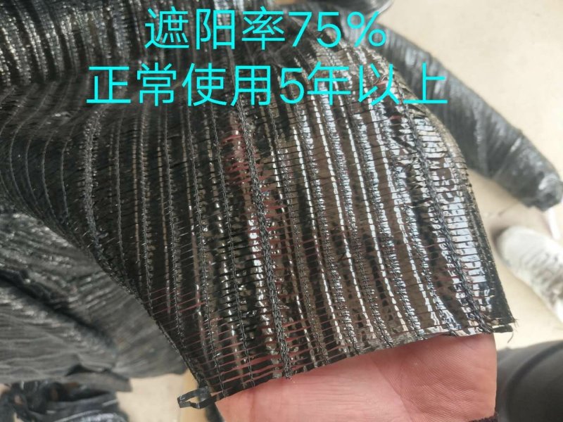 平针遮阳网包用五年以上加密加厚遮阳网防晒网大棚养殖