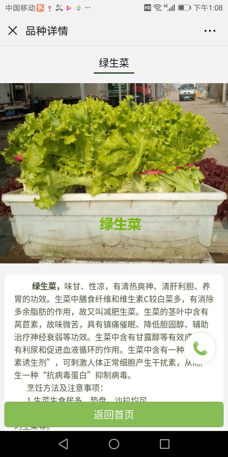 盆栽有机菜