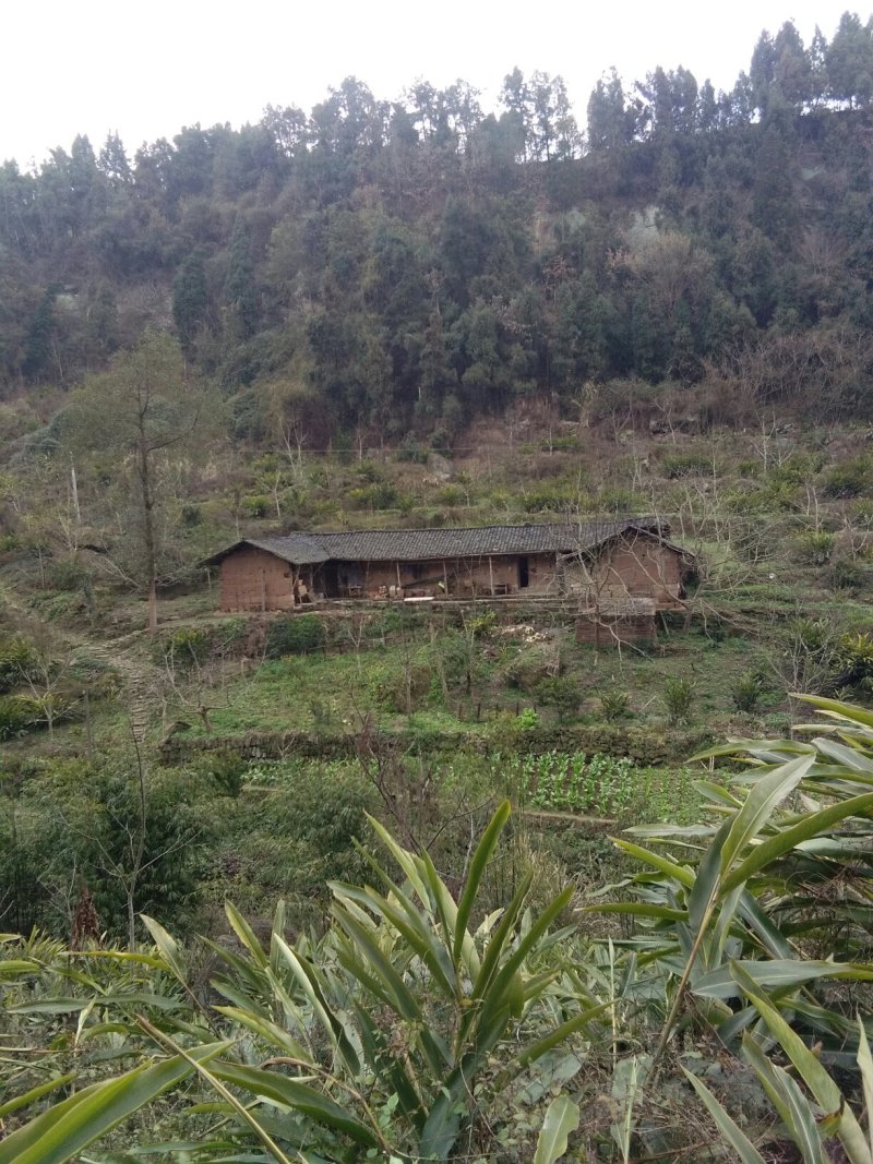 宅基地出租