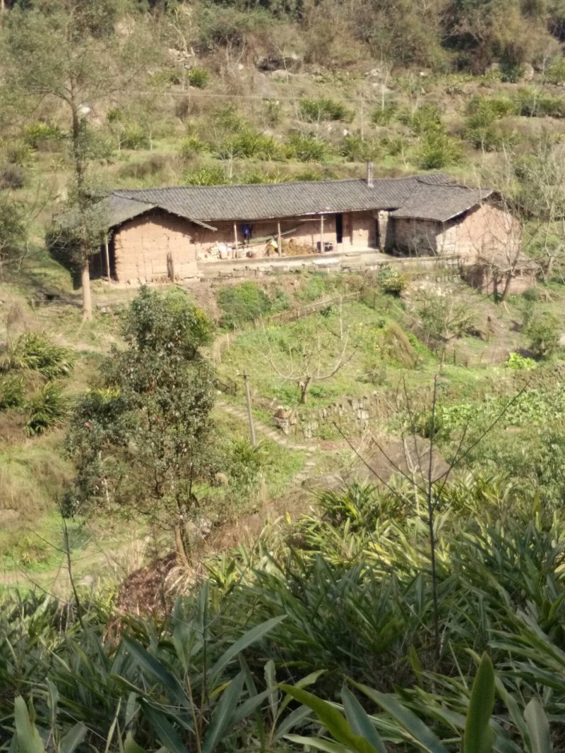 宅基地出租