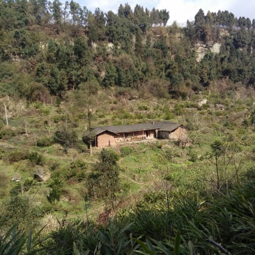 宅基地出租