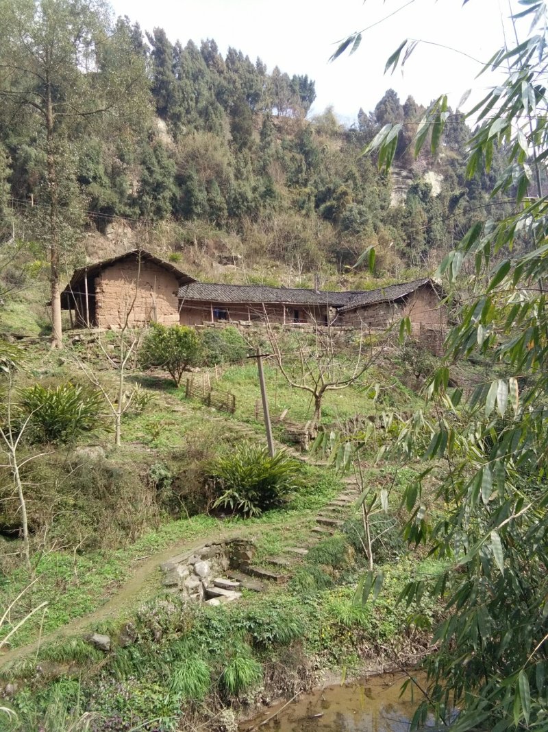 宅基地出租