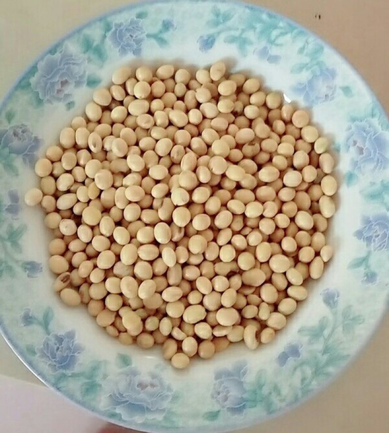 黄豆
