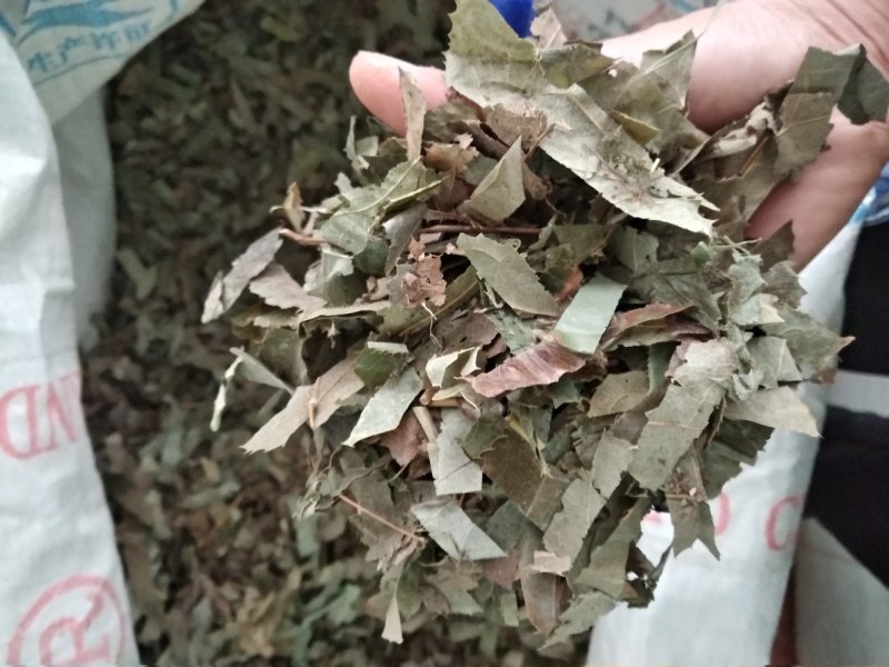 淫羊霍切好