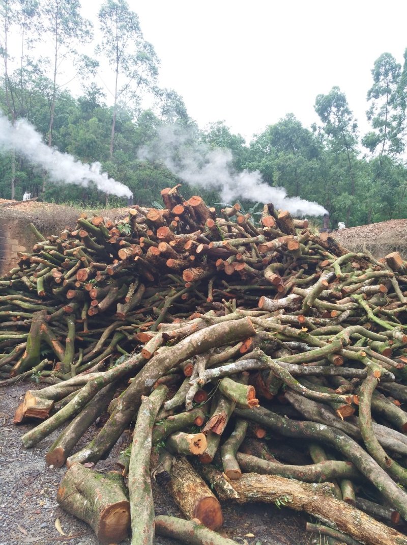 木炭荔枝龙眼果木炭含炭量95%优质一级炭