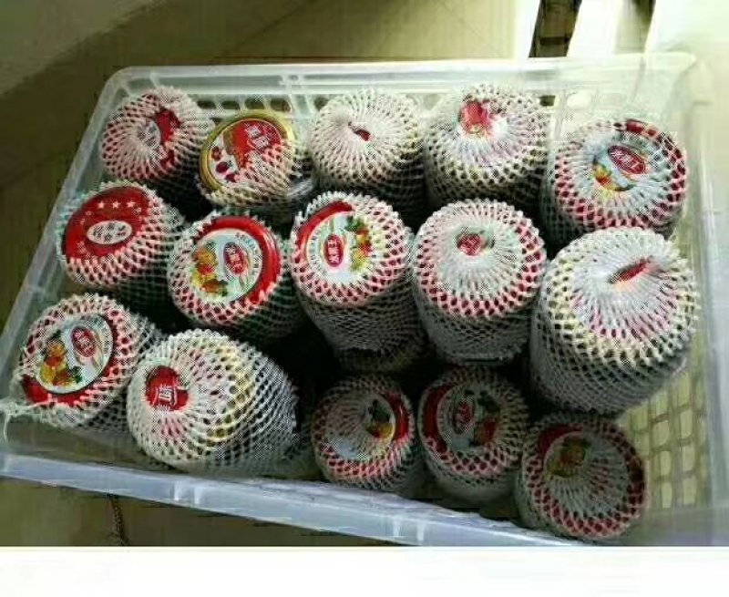 新的枇杷膏出来了[微笑]【川贝冰糖枇杷膏