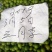 三月李