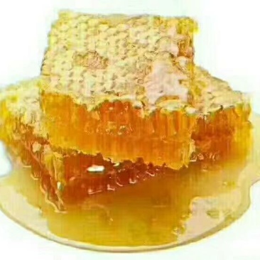 蜂巢蜜
