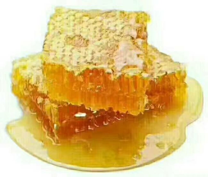 蜂巢蜜