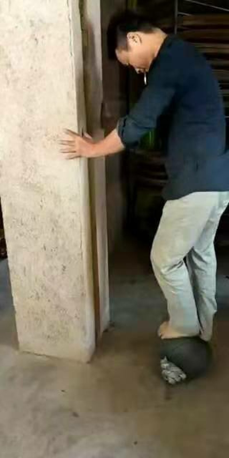 野生浓香铁观音王礼盒装，好茶数量不多哦