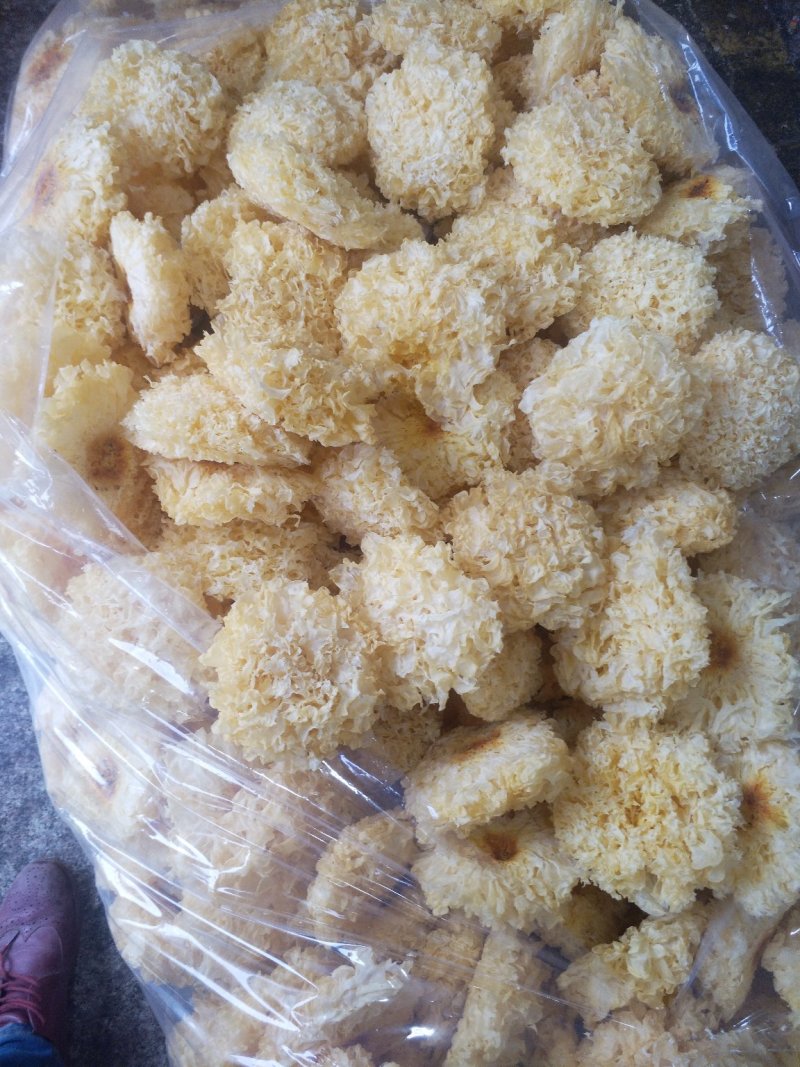 古田正宗银耳雪耳〉品种齐全，