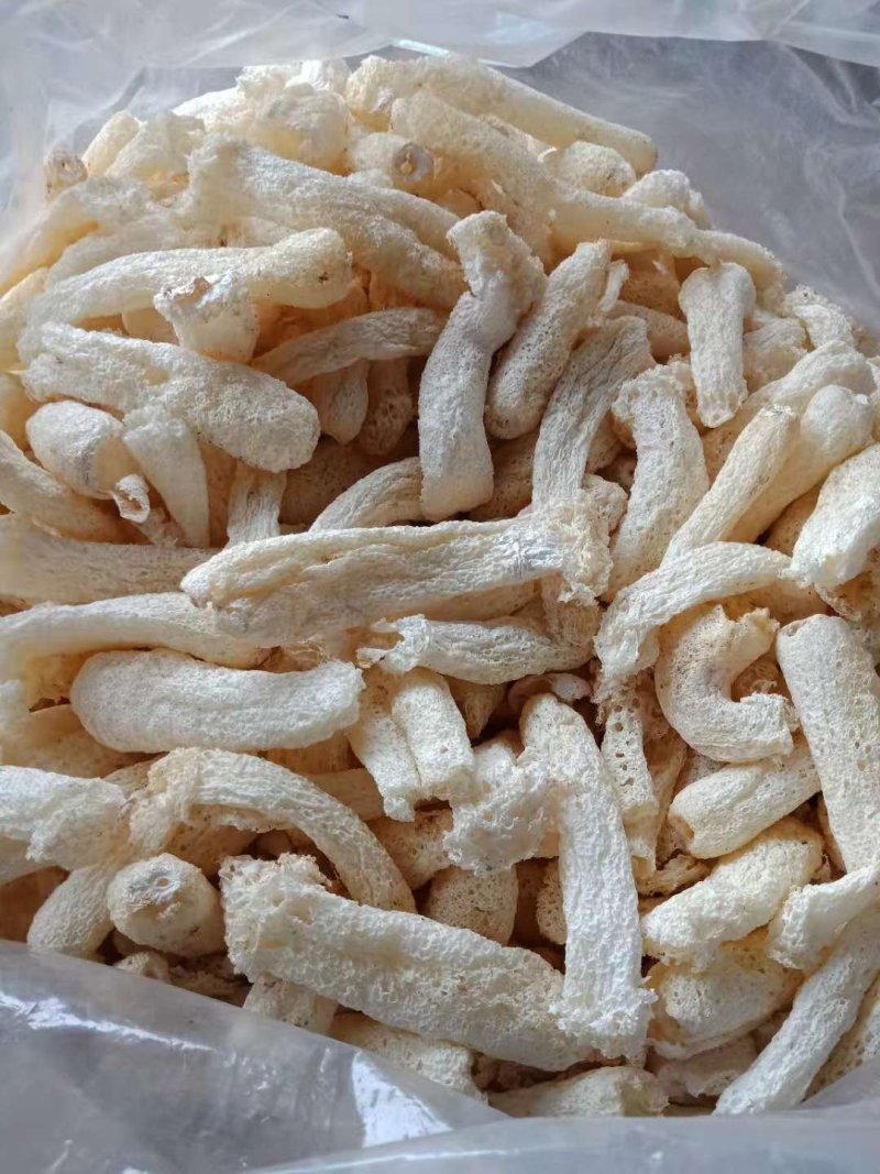古田竹荪杆子，竹荪蛋，带裙竹荪