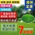 高羊茅草籽进口耐践踏庭院护坡绿化草皮25斤/亩