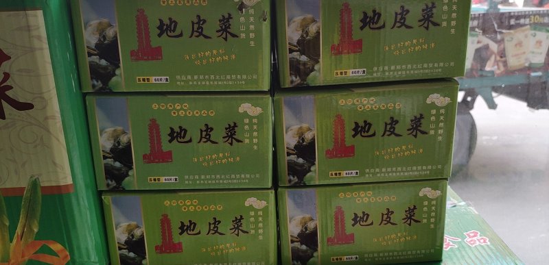 干货地皮菜盒装地皮饭店专用泡发率超高