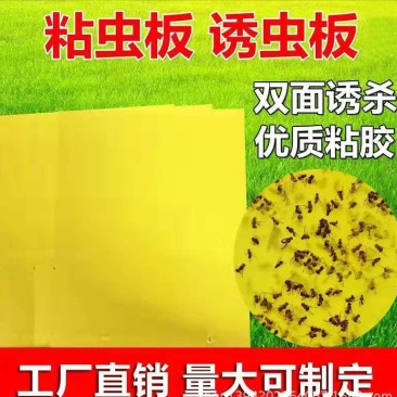 厂家直售多规格尺寸双面粘虫板（包邮）