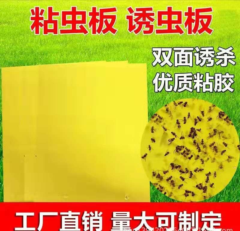 厂家直售多规格尺寸双面粘虫板（包邮）