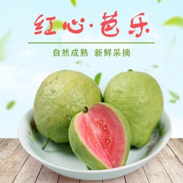 广西红心番石榴红心芭乐5斤产地直供电商微商支持一件代批发