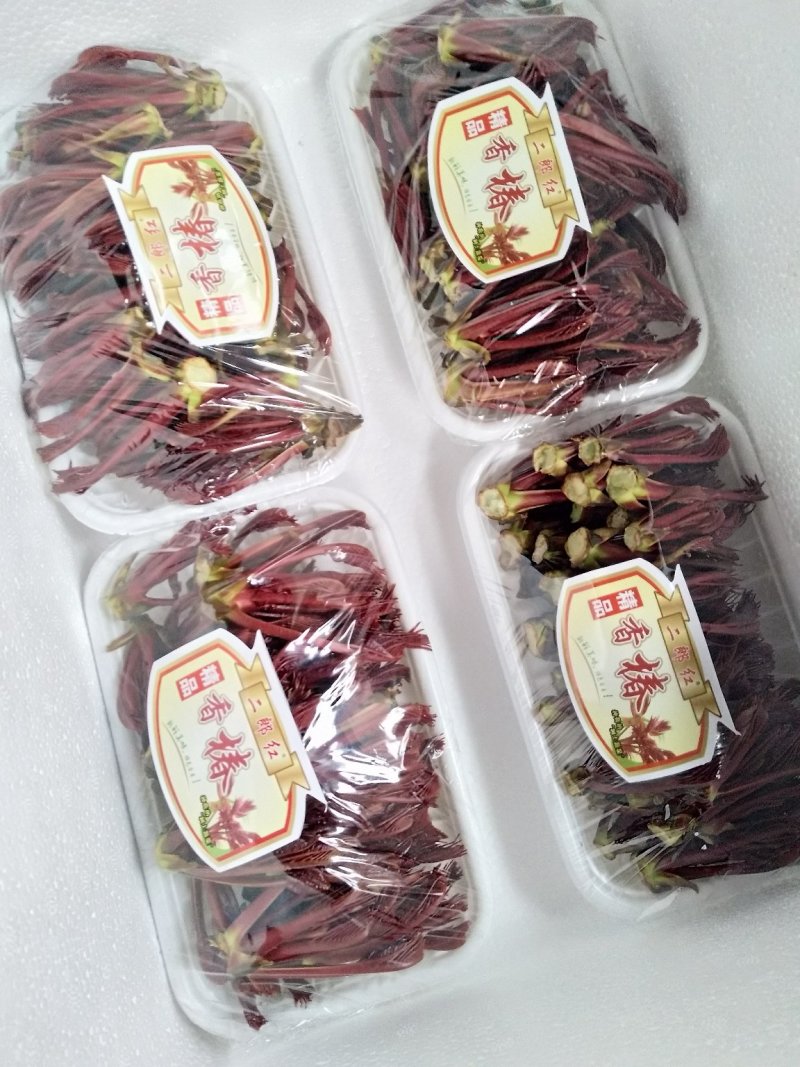二郎红香椿，红油香椿芽，精品香椿芽