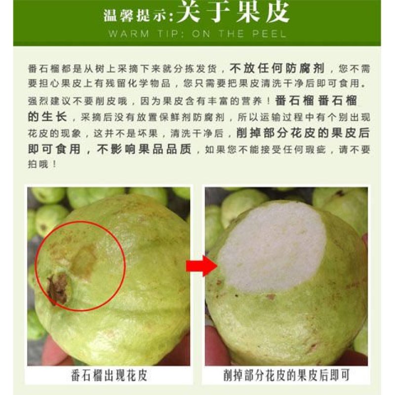 广西芭乐番石榴牛奶芭乐中大果5斤装产地货源稳定欢迎合作