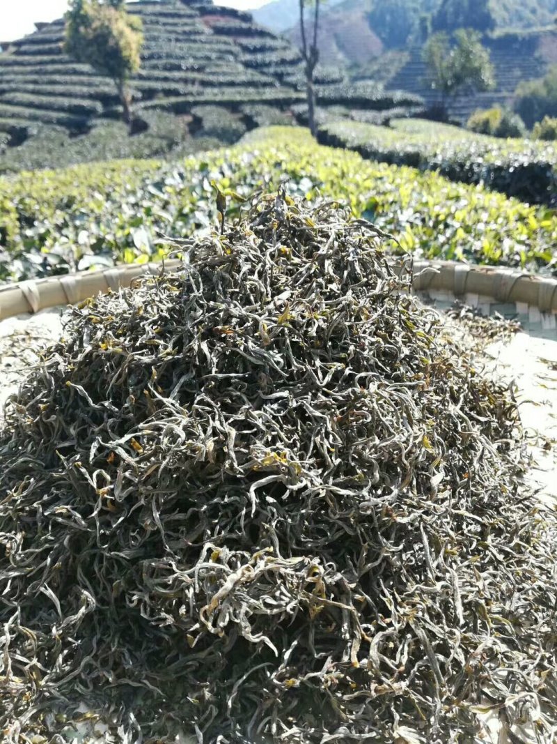 云南普洱古树茶，饼茶散茶。