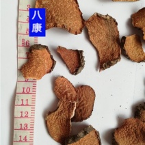 黄药子统货批发零售品种齐全量大从优