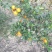生态园种植基地