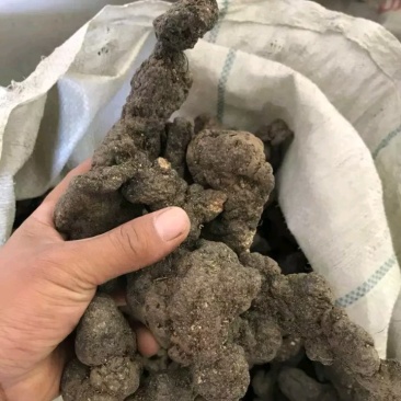 陕西省紫阳县瓦庙镇