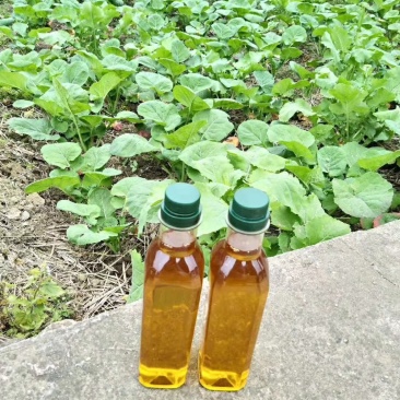 山油茶