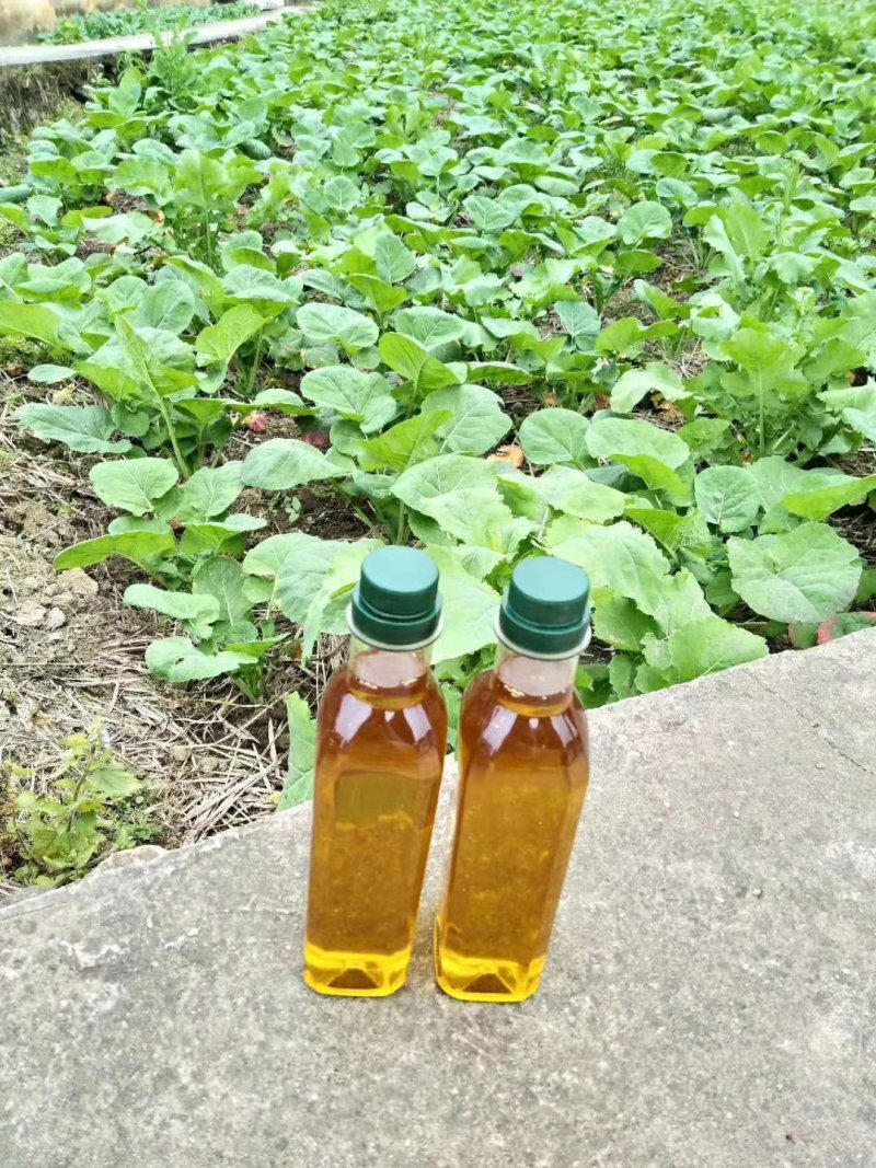 山油茶