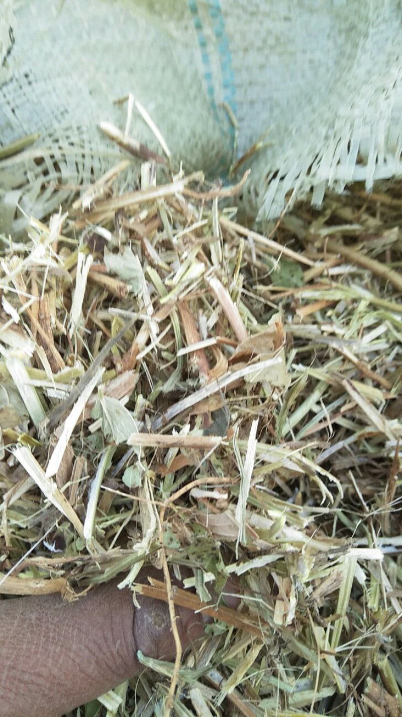 长年出售花生秧牛羊草、花生秧草粉、花生秧颗粒、压块麦秸。