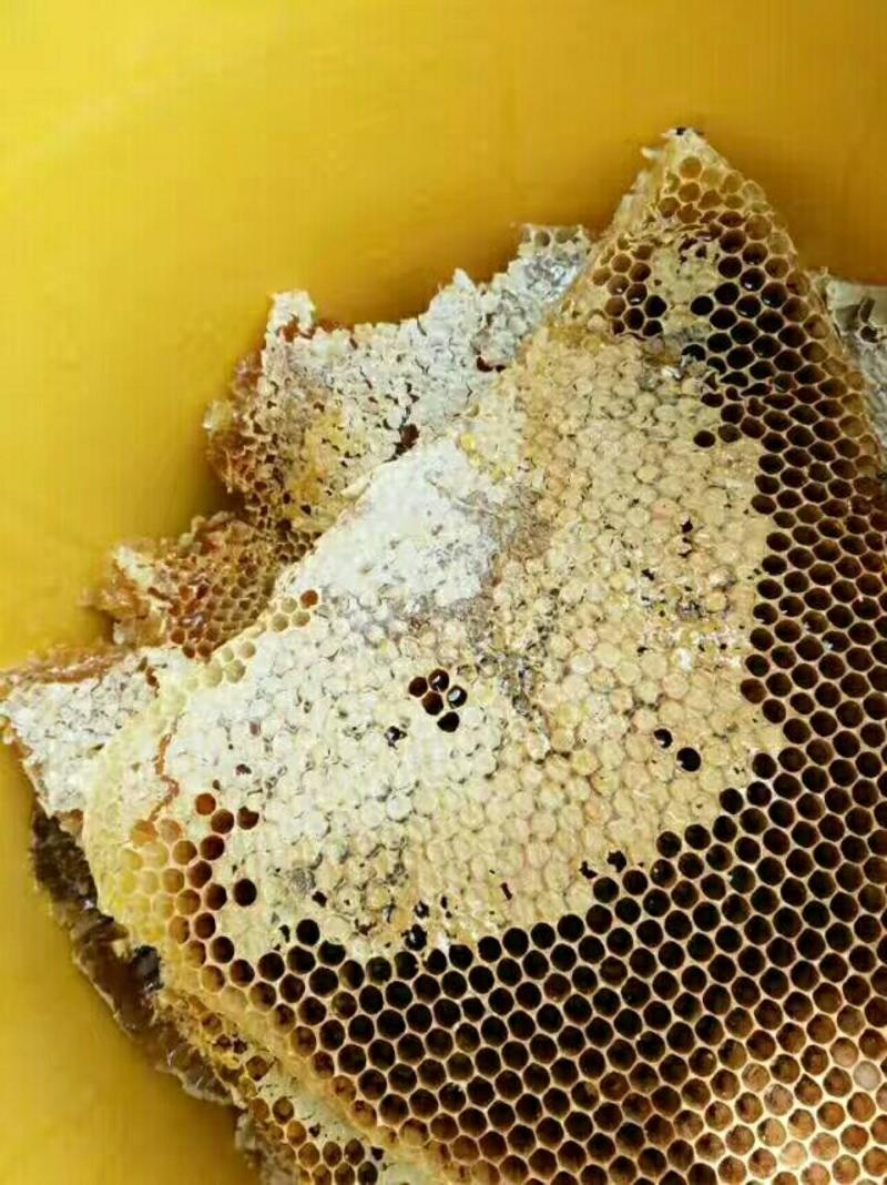 蜂蜜正宗大山野蜂蜜