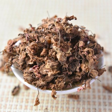 凤仙花指甲花金凤花海莲花中药材