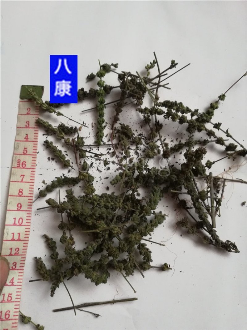 荆芥穗统货批发零售品种齐全量大从优