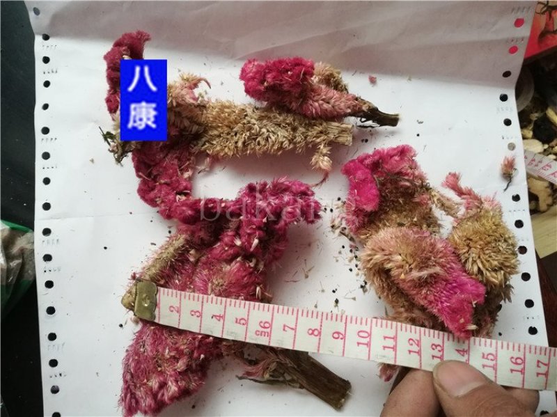 中药材鸡冠花批发零售品种齐全量大从优