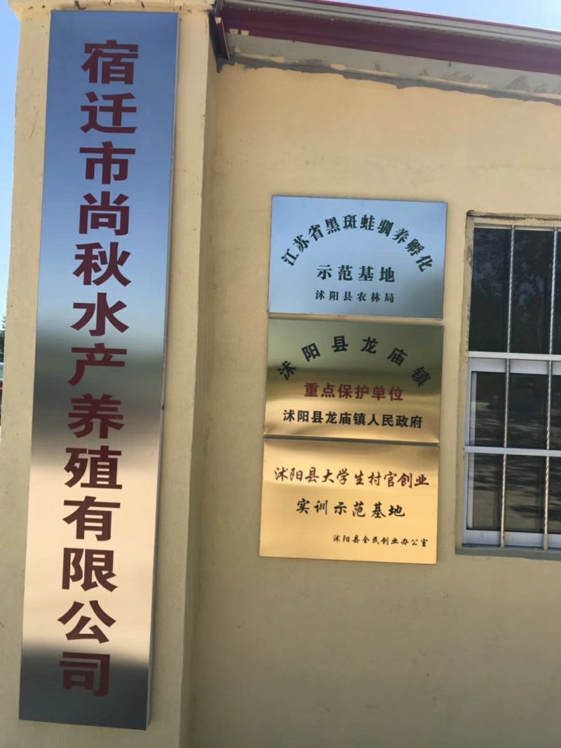 现货便宜！人工养殖青蛙苗批发黑斑娃幼苗蝌蚪苗青蛙养殖技术