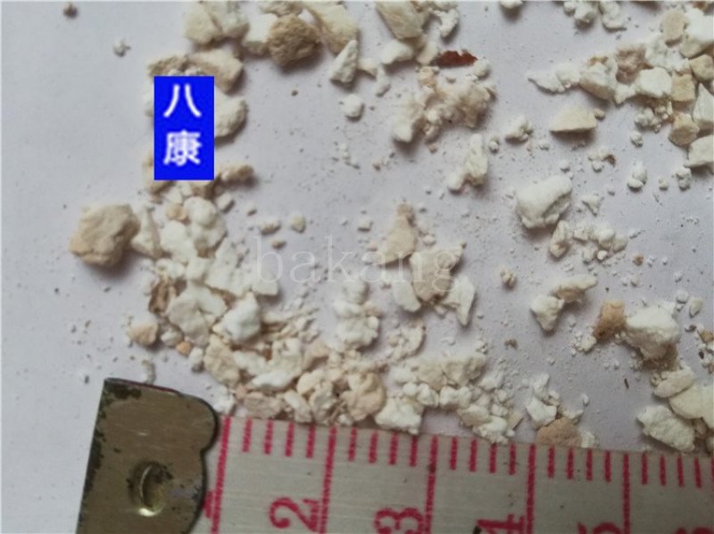 茯苓碎渣小米粒大小批发零售品种齐全支持混批报价量大从优