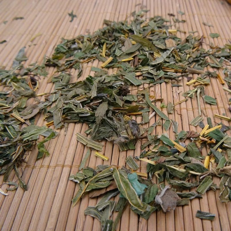凤尾草井口边草凤凰草金鸡尾中药材