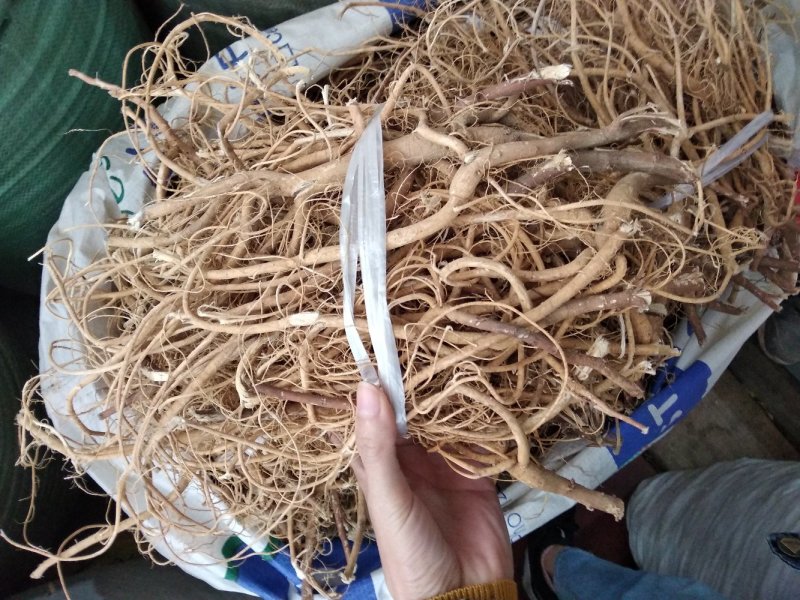 石参根无硫小根野生石参根汤料可药用