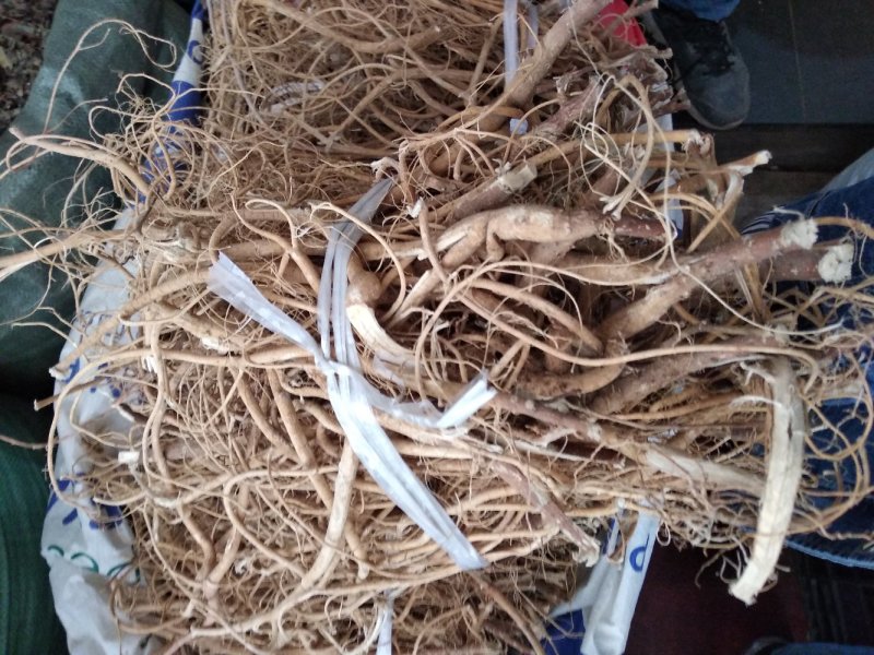 石参根无硫小根野生石参根汤料可药用