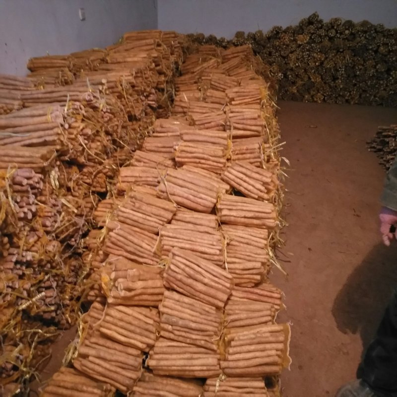 小白嘴一点红