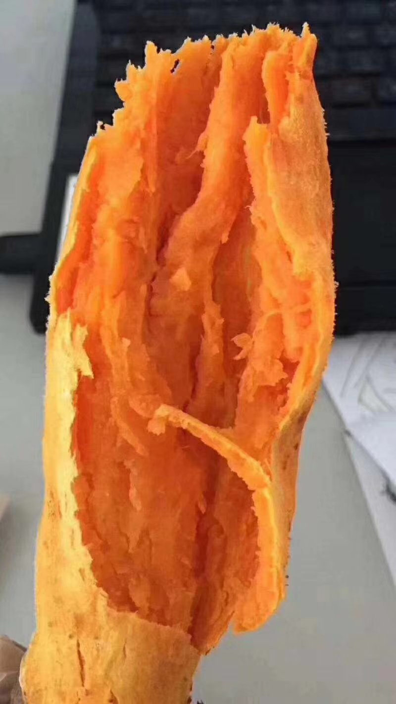 六鳌红密薯