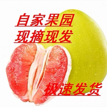 四川黄金蜜柚【2个一件，一件有8～9斤】