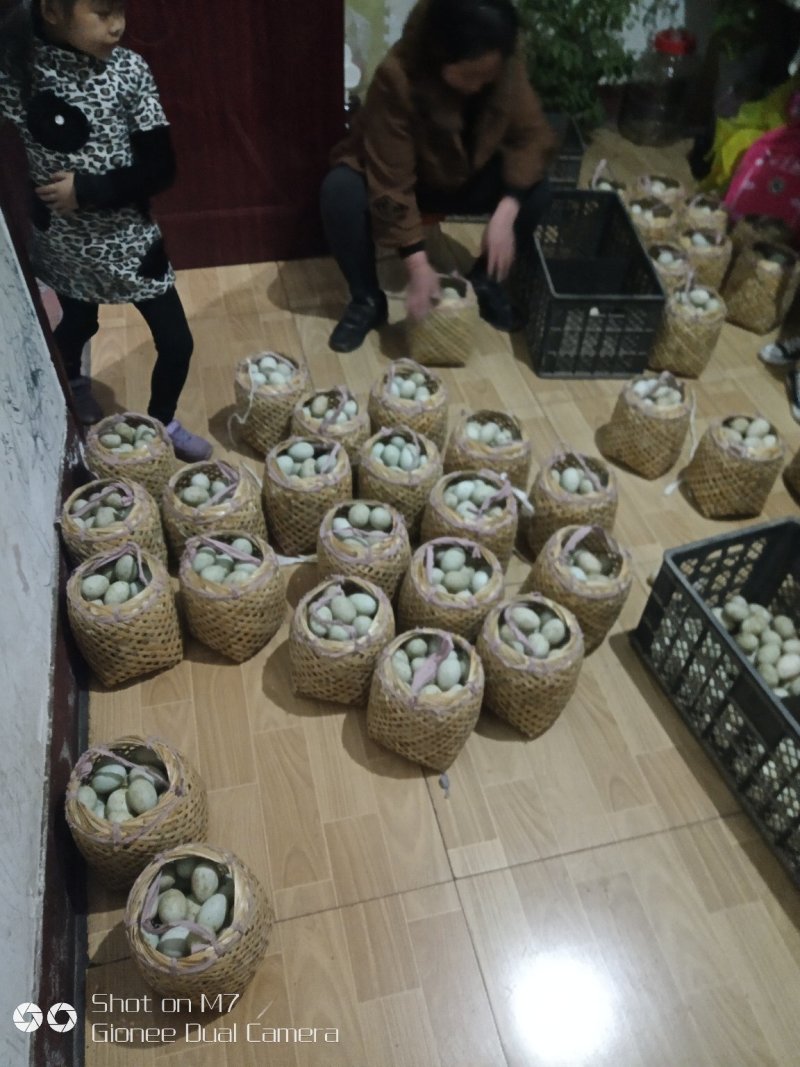 白洋淀特产芦苇小篓装的鲜鸭蛋，和泥腌咸鸭蛋