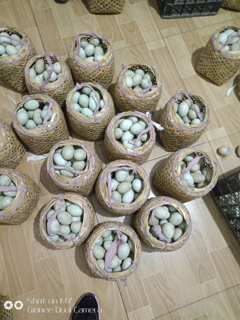 白洋淀特产芦苇小篓装的鲜鸭蛋，和泥腌咸鸭蛋