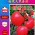 乾德1625粉果大果番茄，早熟、抗病性好，早春栽培