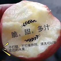 新鲜应季水果吉县壶口瀑布红富士苹果脆甜多汁