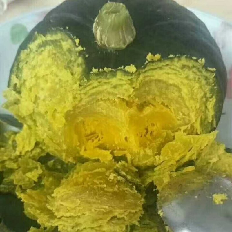 贝贝南瓜
